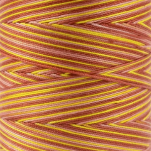 WonderFil Fruitti 12wt Egyptian Cotton Thread - Variegated Serenade FTS09