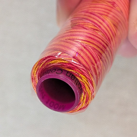 WonderFil Fruitti 12wt Egyptian Cotton Thread - Variegated Serenade FTS09