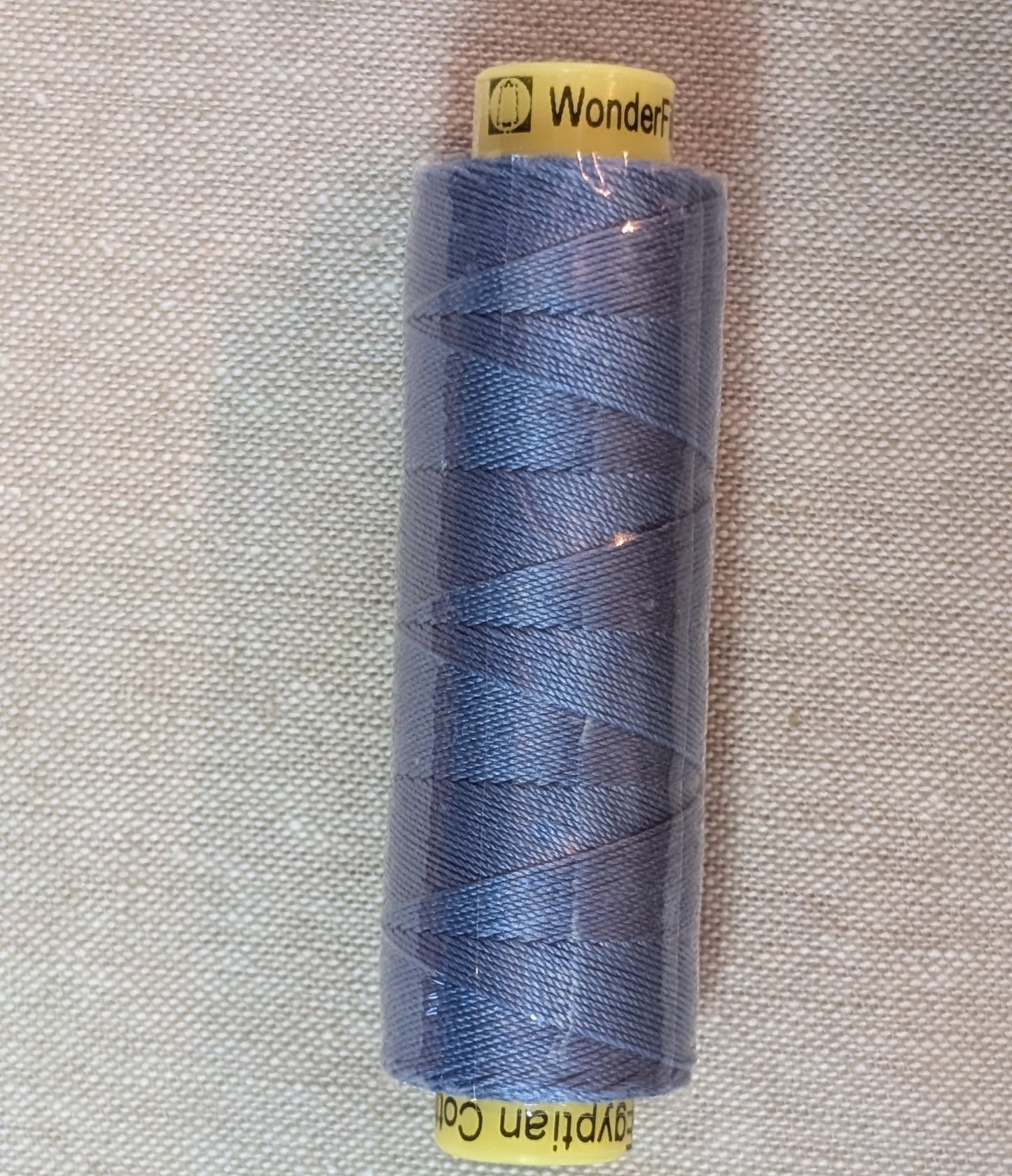 Wonderfil Spagetti™ 12wt Egyptian Cotton Thread - Clear Blue SPS34